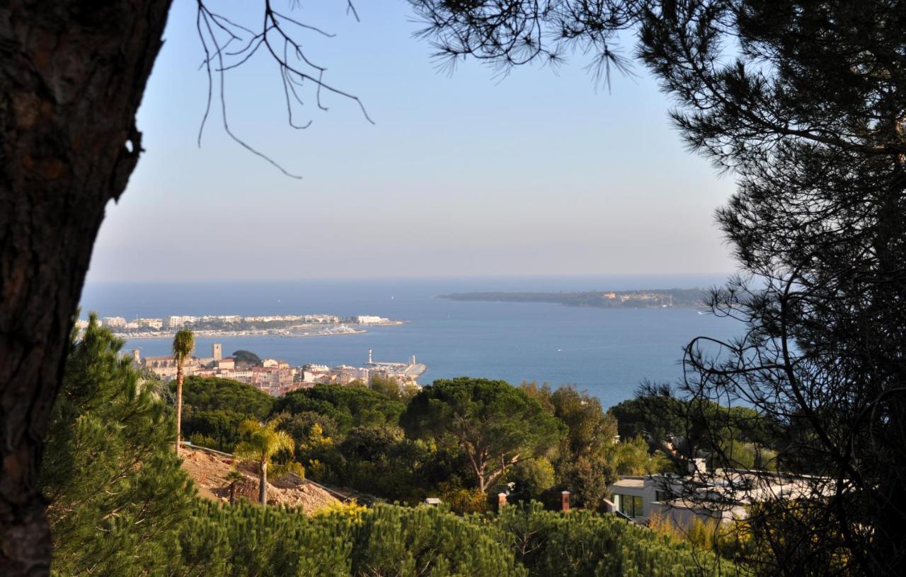 Vue Mer, Piscine Panoramique, Parking Couvert