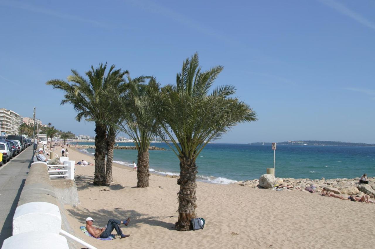 Vue Mer, Piscine Panoramique, Parking Couvert